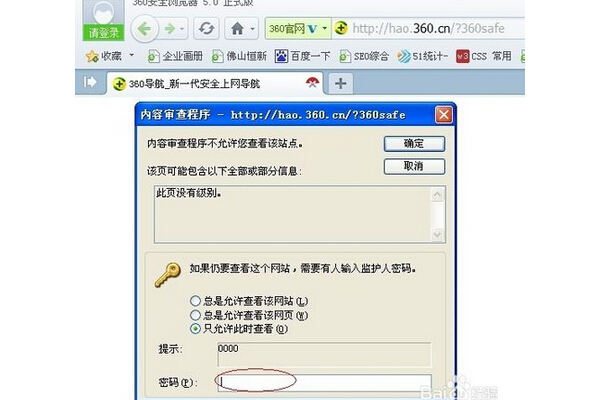 Seo浏览器查看方法大揭秘，轻松掌握查看技巧！