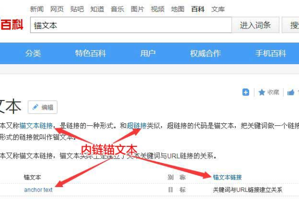 盐城综合网站优化联系人，专业助力开启网站优化新篇章