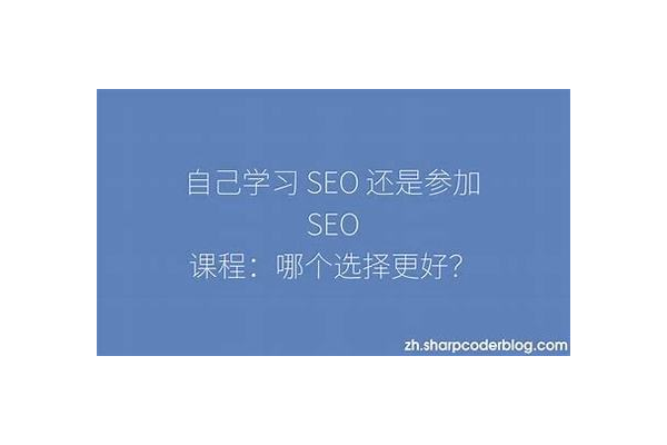 seo课程哪个更好，全方位对比为你找出优质之选