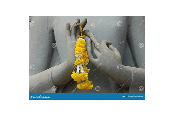 合作网站优化全攻略:提升流量、增强用户体验的实用方法