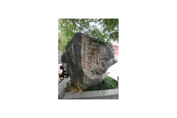 曲阜SEO优化费用大揭秘：究竟大概要花多少钱？