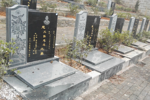 福山网站优化该选哪家公司？这些要点助你做出明智之选