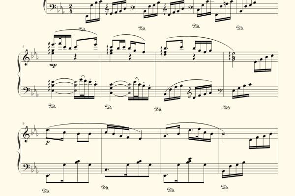 增城SEO优化方案：多维度策略助力网站提升搜索排名